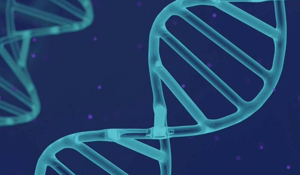 Genetic data failures cost 23andMe €2.4m Genetic data failures cost 23andMe €2.4m
